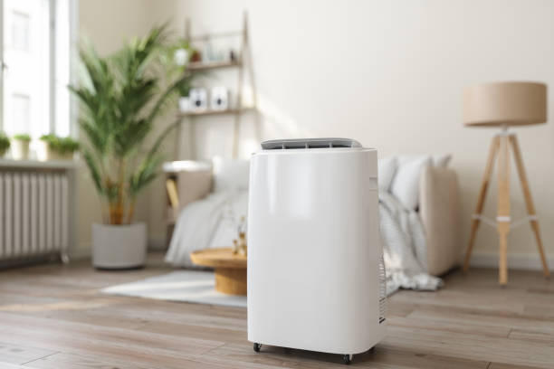 Best Ductless Mini-Split Systems in Ionia, MI
